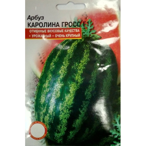 Кавун Кароліна грос (10сем.)