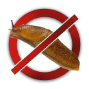 Від равликів і слимаків